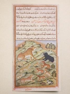 The Lights of Canopus (Anvar i Suhaili)