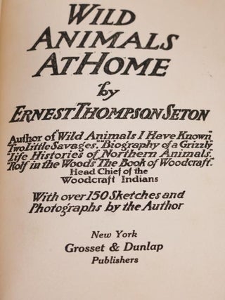 Wild Animals at Home