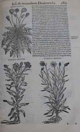 Commentario Secundo Aucti, in Libros Sex Pedacii Dioscoridis Anazarbei De Medica Materia