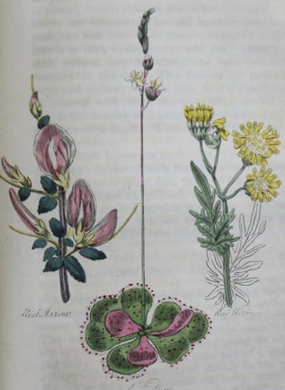 The Family Herbal or a Account of All Those English Plants, Which are Remarkable for Their Virtues, and of the Drugs Which are Produced By Vegetables of Other Countries; with Their Descriptions and Their Uses, as Proven By Experience