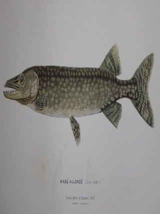 The Sportsman and Naturalist in Canada: Or, Notes on the Natural History of the Game, Game Birds, and Fish of That Country