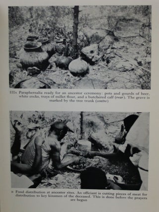 Witchcraft, Sorcery and Social Categories Among the Safwa