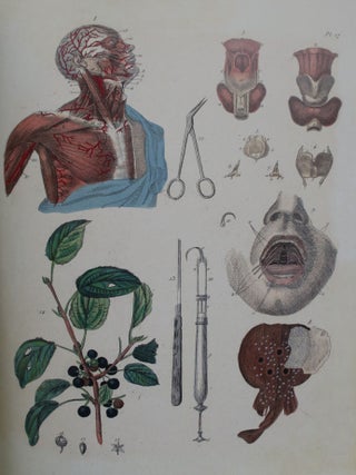 La Medicine Pittoresque