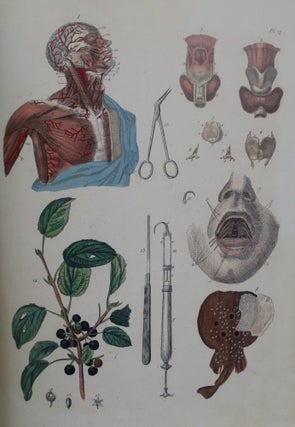 La Medicine Pittoresque