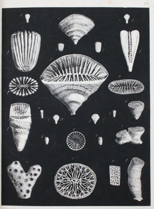 A Monograph of the British Fossil Corals