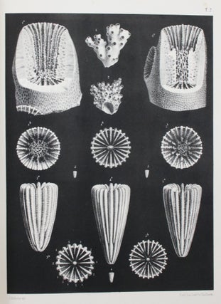 A Monograph of the British Fossil Corals
