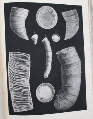 A Monograph of the British Fossil Corals