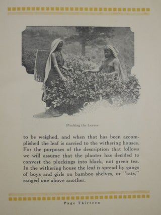 A Story of the Tea Plant