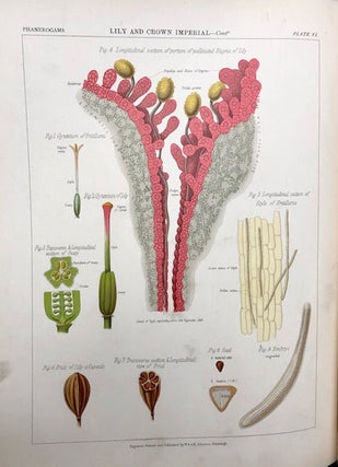 The Botanical Atlas: a Guide to the Practical Study of Plants Containing Representatives of the Leading Forms of Plant Life