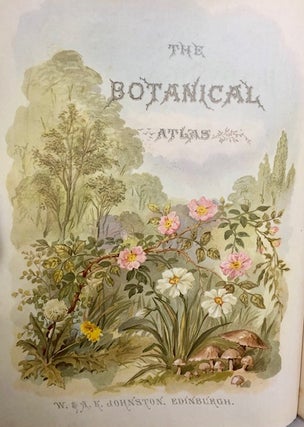 The Botanical Atlas: a Guide to the Practical Study of Plants Containing Representatives of the Leading Forms of Plant Life