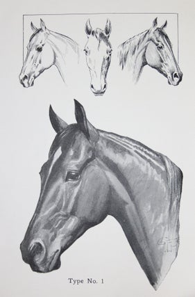 The Four Types of Disposition: As Found Among Horses