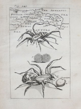 The practice of physick, reduc'd to the ancient way of observations containing a just parallel between the wisdom and experience of the ancients, and the hypothesis's of modern physicians. Intermix'd With many Practical Remarks upon most Distempers....