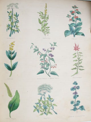 The Complete Herbal; to Which is Now Added, Upwards of One Hundred Additional Herbs, with a Display of Their Medicinal and Occult Qualities Physically Applied to the Cure of All Disorders Incident to Mankind: To which are Now First Annexed...