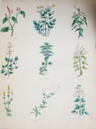 The Complete Herbal; to Which is Now Added, Upwards of One Hundred Additional Herbs, with a Display of Their Medicinal and Occult Qualities Physically Applied to the Cure of All Disorders Incident to Mankind: To which are Now First Annexed...