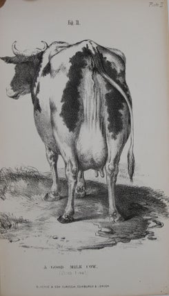 How to Choose a Good Milk Cow; or a Description of All the Marks by Which the Milking Qualities of Cows May be Ascertained. With a Supplement, on the Dairy Cattle of Britain; Their Qualities, Management, and Productive Results; with Hints for Selecting.