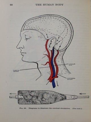 The Human Body and Its Functions: An Elementary Text-Book of Physiology