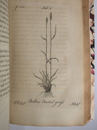 Essays Relating to Agriculture And Rural Affairs. Volume Second.