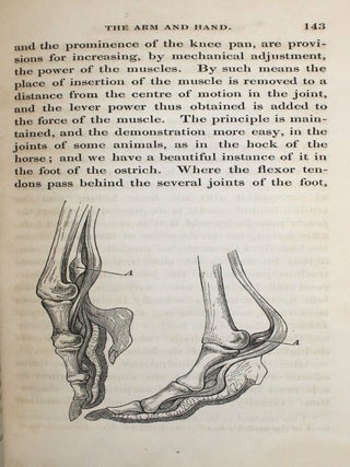 The Hand, It's Mechanism and Vital Endowments as Evincing Design
