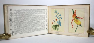 Item #011906 Wild Flowers of Canada, Published Exclusively with The Montreal Star, By Special...