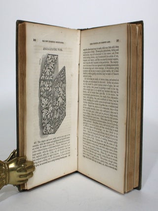 The New Household Receipt-Book: Containing Maxims, Directions, and Specifics for Promoting Health, Comfort, and Improvement in the Homes of People. Compiled from the Best Authorities, with Many Receipts Never Before Collected