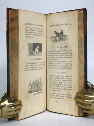 A General History of Quadrupeds