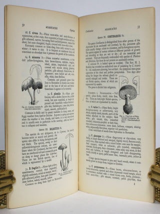 Guide to Sowerby's Models of British Fungi in the Department of Botany, British Museum (Natural History)