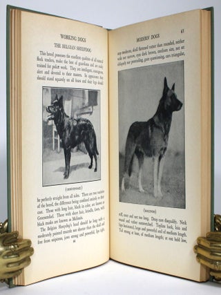 Modern Dogs: Their Standards, Care, Feeding, Breeding, Training and Treatment