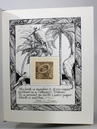 The Parade to Paradise: An Illustrated Fable