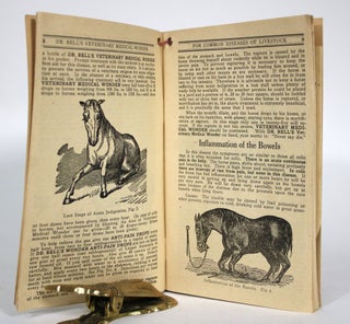 Prevention, Diagnosis and Treatment of Common Diseases of Live Stock