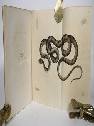 Item #015540 Dalmatiae Nova Serpentum Genera. Friderico Ludovico Fleischmann