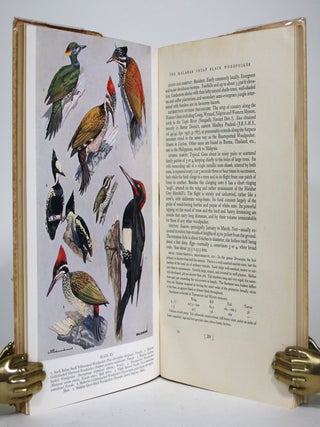 The Birds of Travancore & Cochin