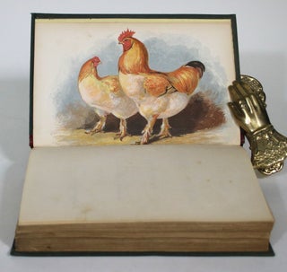 The Illustrated Book of Domestic Poultry
