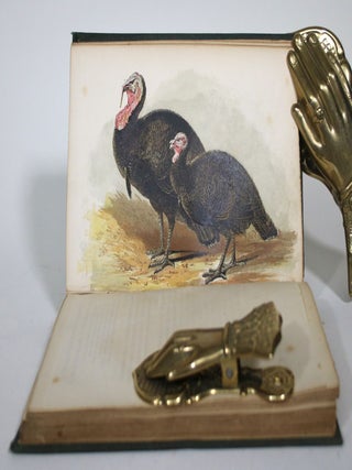 The Illustrated Book of Domestic Poultry