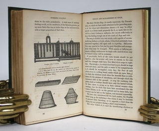 The Illustrated Book of Domestic Poultry