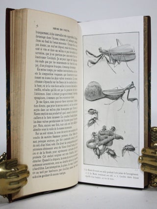 Moeurs des Insectes: Morceaux Choisis. Extraits des Souevenirs Entomologiques.