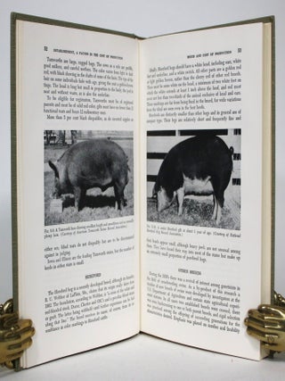 Swine Production