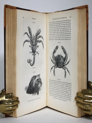 General Outline of the Organization of the Animal Kingdom and Manual of Comparative Anatomy
