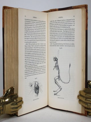 General Outline of the Organization of the Animal Kingdom and Manual of Comparative Anatomy
