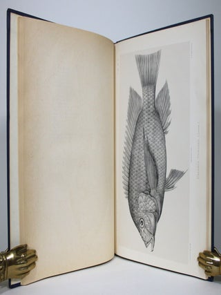 Etudes Zoologiques Sur La Faune du Lac de Tiberiade Suivies d'un Apercu sur la Faune des Lacs d'Antioche et de Homs. 1: Poissons et Reptiles du lac de Tiberiade et de Querlques Autres Parties de la Syrie...