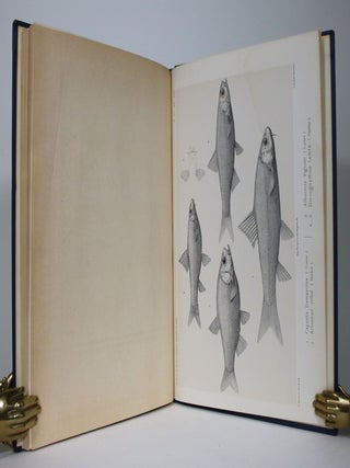 Etudes Zoologiques Sur La Faune du Lac de Tiberiade Suivies d'un Apercu sur la Faune des Lacs d'Antioche et de Homs. 1: Poissons et Reptiles du lac de Tiberiade et de Querlques Autres Parties de la Syrie...