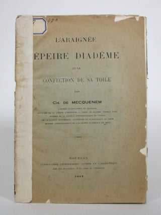 L'Araignee Epeire Diademe et la Confection de sa Toile