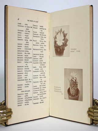 The Study of Cacti