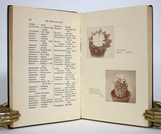 The Study of Cacti